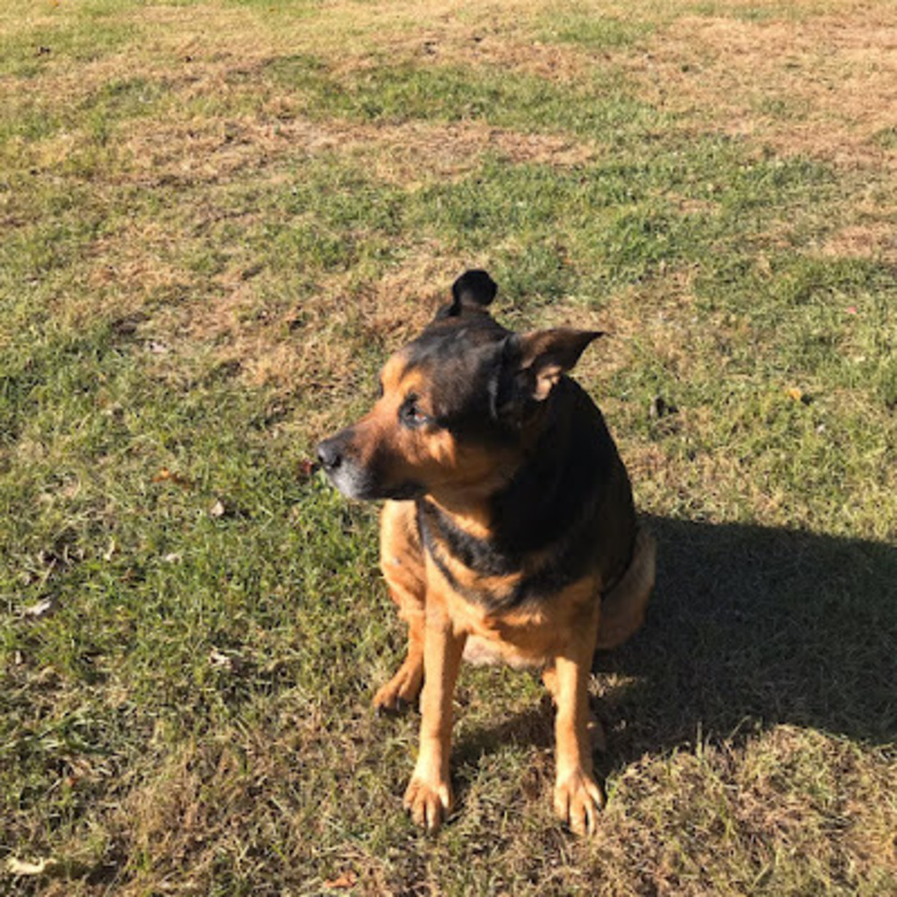 Meet your Posher, Terri